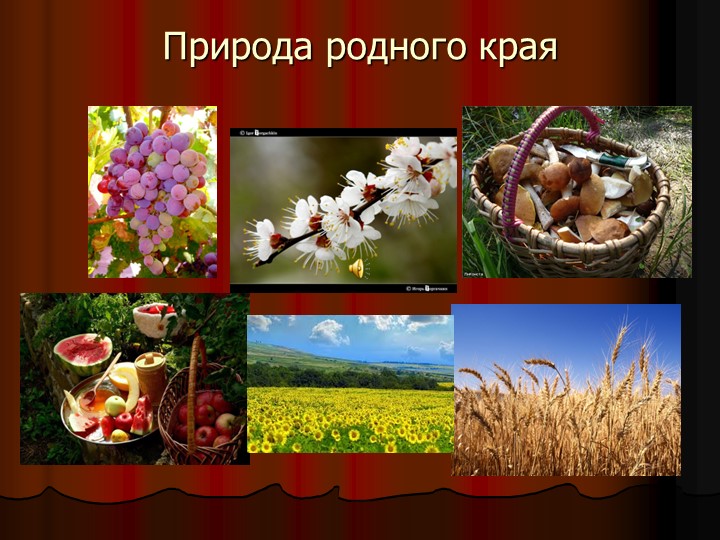 Презентация на тему "Знакомство с родным краем и городом Курганинском"