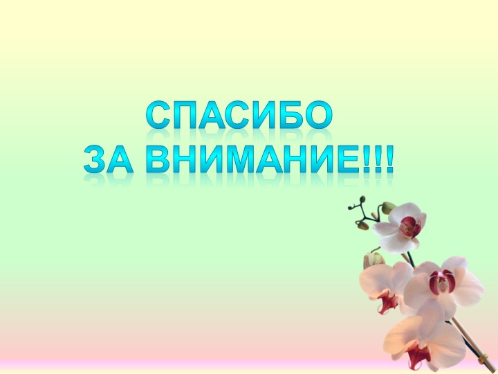 Презентация работы "Первые шаги в педагогике"