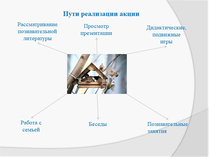 Экологическая акция «Птичья столовая»