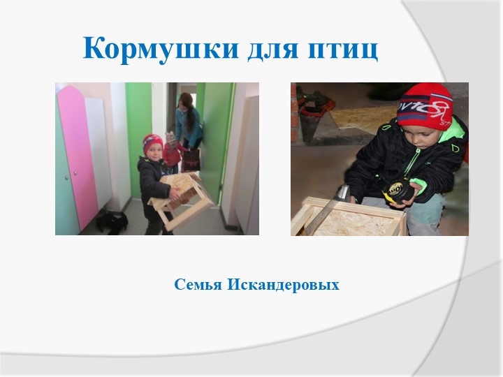 Экологическая акция «Птичья столовая»