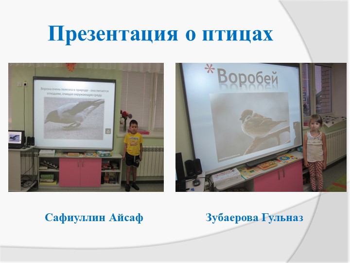 Экологическая акция «Птичья столовая»