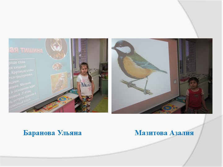 Экологическая акция «Птичья столовая»