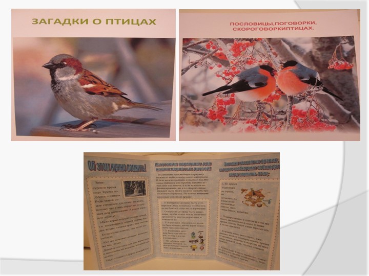 Экологическая акция «Птичья столовая»
