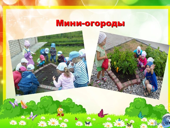 «Лето – это маленькая жизнь!»