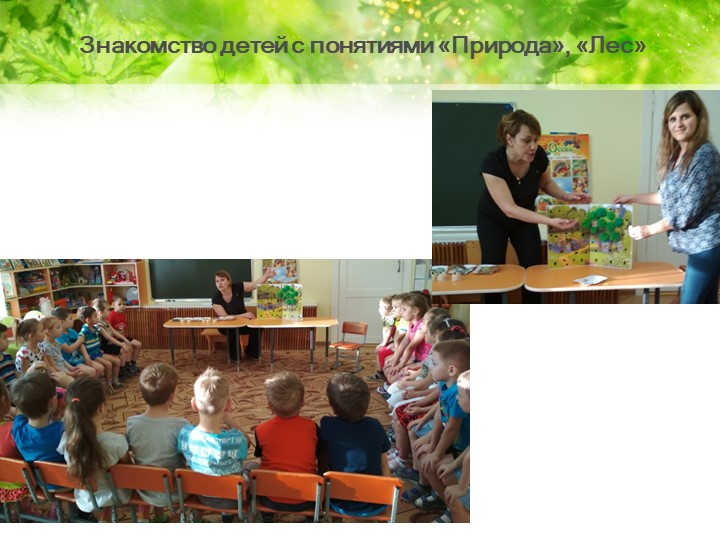 Многофункциональное дидактическое пособие «Человек –часть природы»