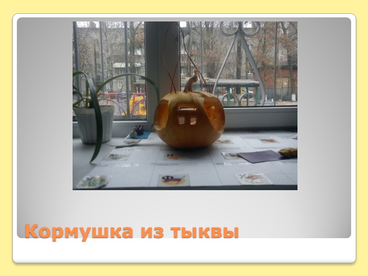 Презентация по дошкольному образованию "Кормушки и домики для птиц"