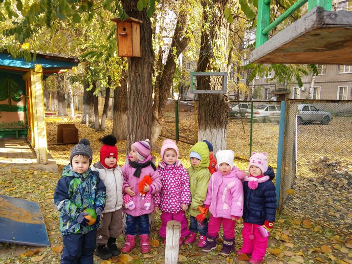 Презентация по дошкольному образованию "Кормушки и домики для птиц"
