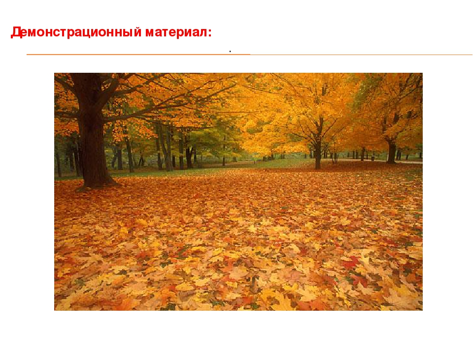 Аппликация из сухих листьев