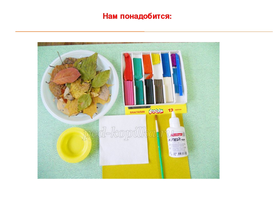 Аппликация из сухих листьев