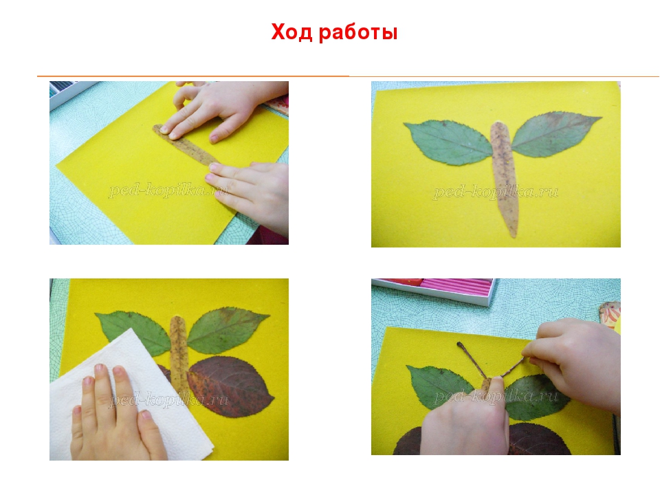 Аппликация из сухих листьев