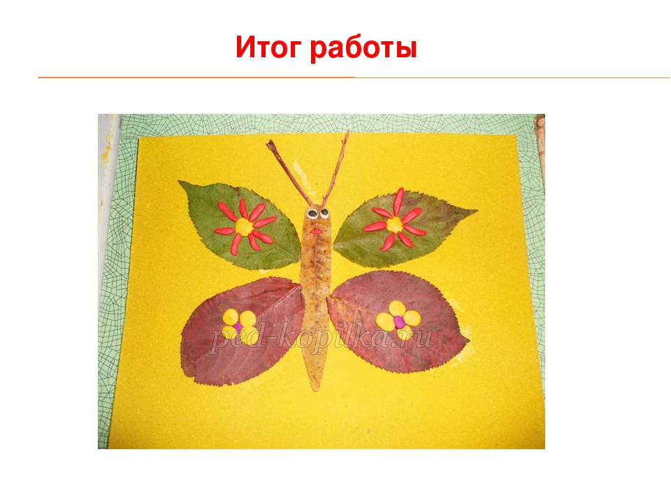 Аппликация из сухих листьев