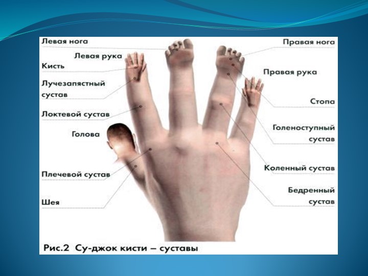 Левая рука темнее правой. Точки соответствия на стопе Су Джок. Акумптурные точки на руке. Биологически активные точки на руке человека. Биологически активные точки на кисти.