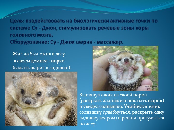 Мастер – класс «Применение Су – Джок терапии для сохранения и укрепления здоровья дошкольников»