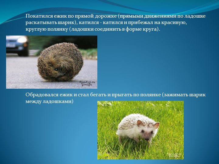 Мастер – класс «Применение Су – Джок терапии для сохранения и укрепления здоровья дошкольников»