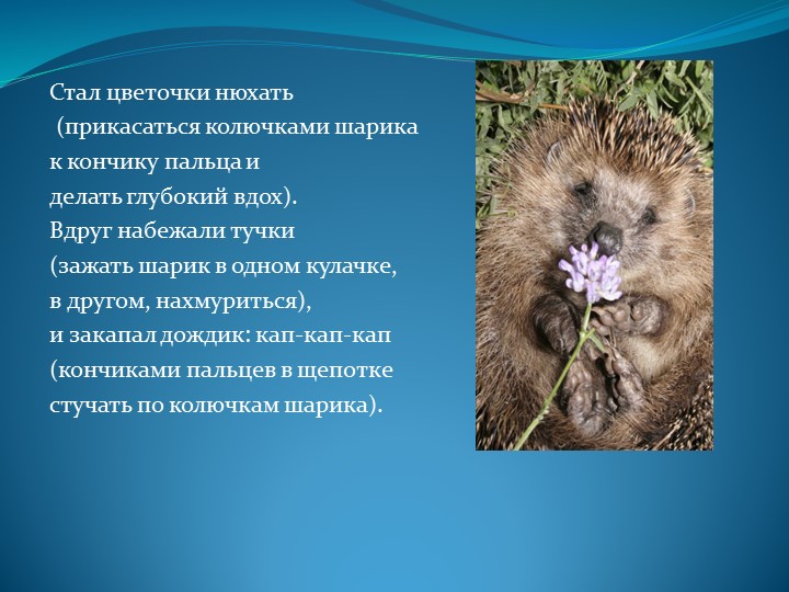 Мастер – класс «Применение Су – Джок терапии для сохранения и укрепления здоровья дошкольников»