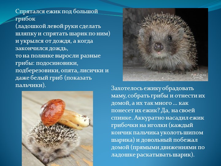 Мастер – класс «Применение Су – Джок терапии для сохранения и укрепления здоровья дошкольников»