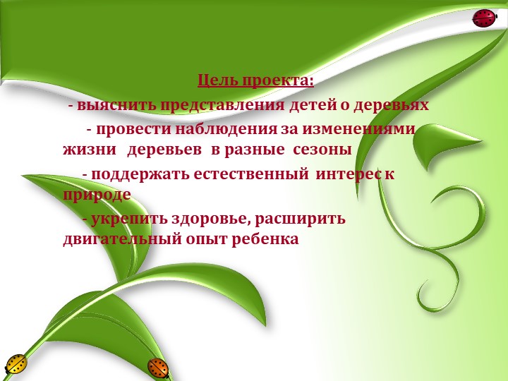 Презентация "Грачи прилетели"старшая группа