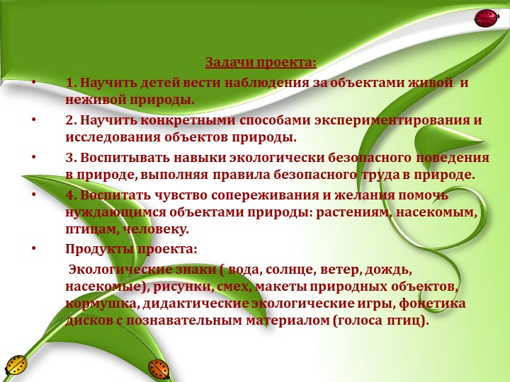 Презентация "Грачи прилетели"старшая группа