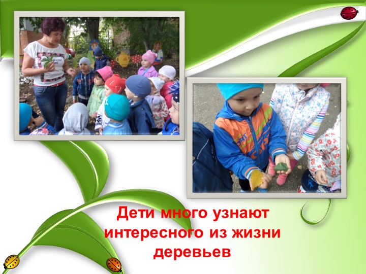 Презентация "Грачи прилетели"старшая группа