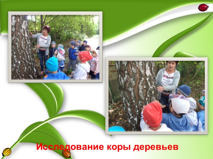 Презентация "Грачи прилетели"старшая группа