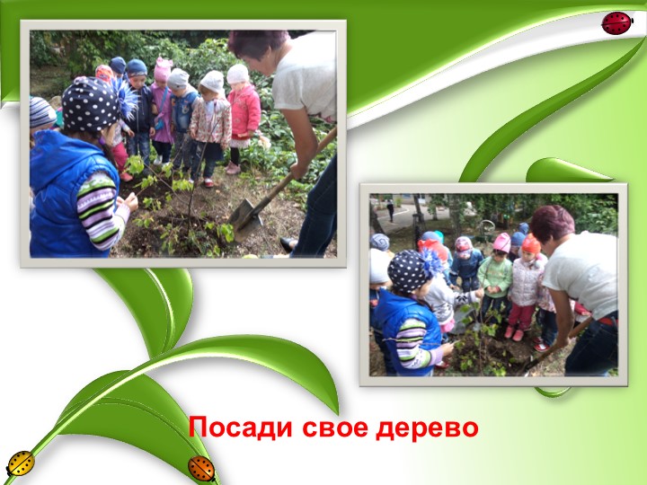 Презентация "Грачи прилетели"старшая группа