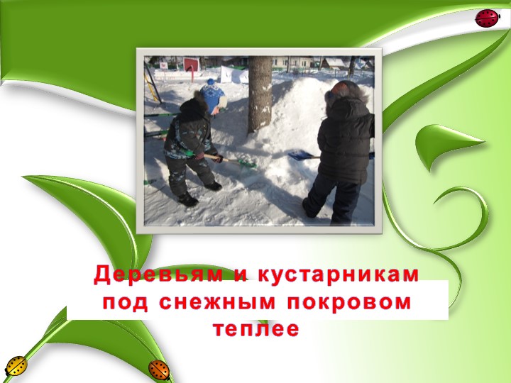 Презентация "Грачи прилетели"старшая группа