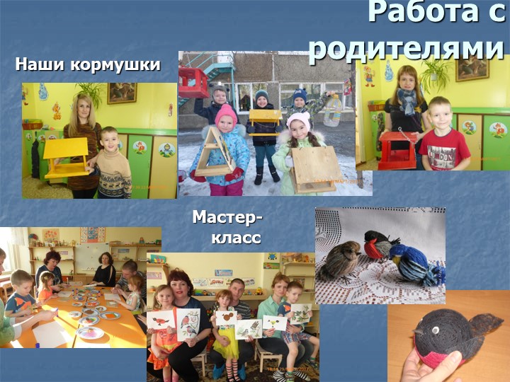 Фотоотчет по презентации "Птицы - наши пернатые друзья"