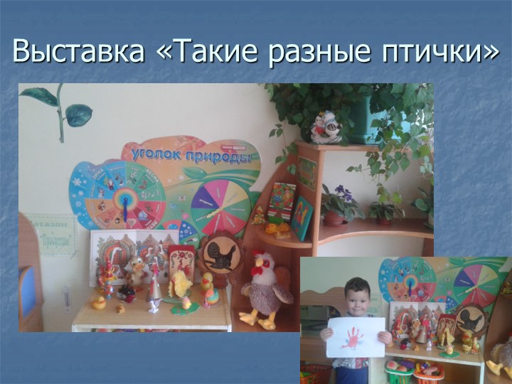 Фотоотчет по презентации "Птицы - наши пернатые друзья"