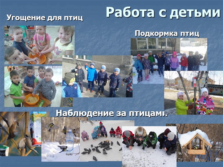 Фотоотчет по презентации "Птицы - наши пернатые друзья"