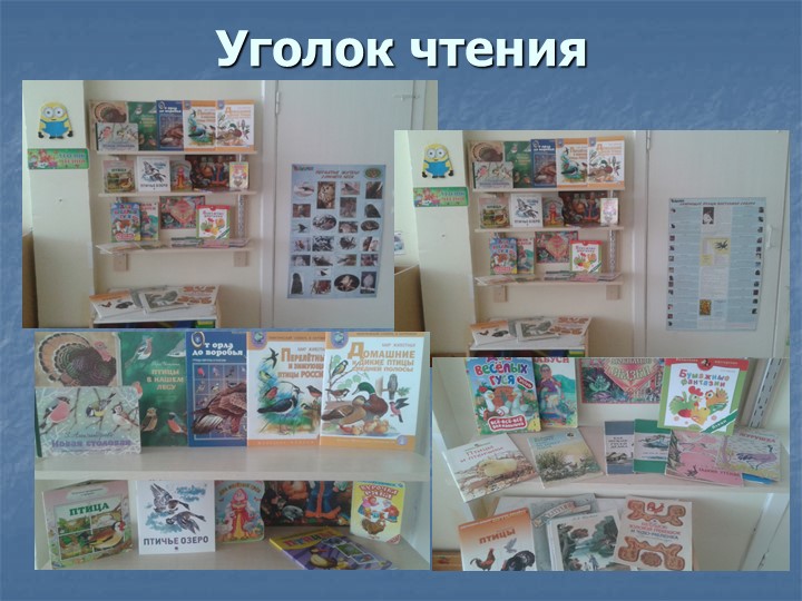 Фотоотчет по презентации "Птицы - наши пернатые друзья"