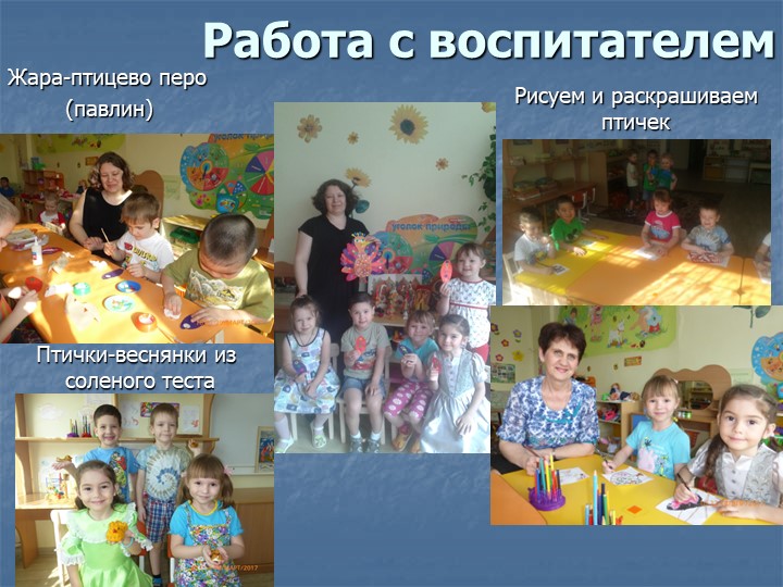 Фотоотчет по презентации "Птицы - наши пернатые друзья"