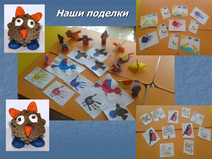 Фотоотчет по презентации "Птицы - наши пернатые друзья"