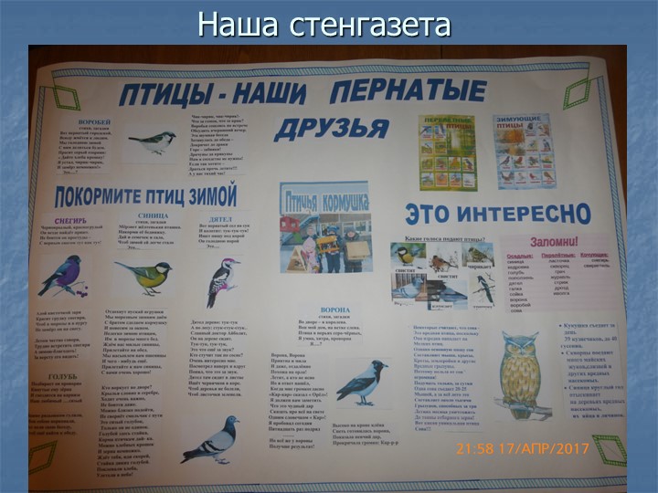 Фотоотчет по презентации "Птицы - наши пернатые друзья"