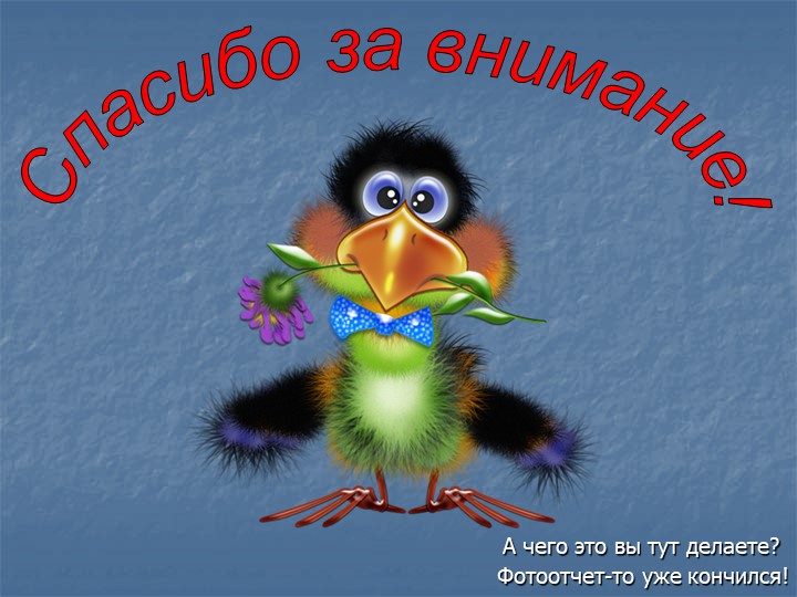 Фотоотчет по презентации "Птицы - наши пернатые друзья"