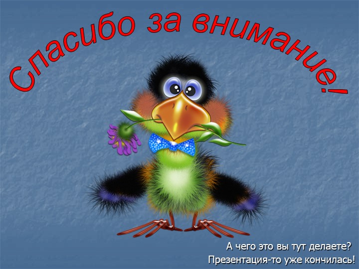 Презентация проекта "Птицы - наши пернатые друзья"