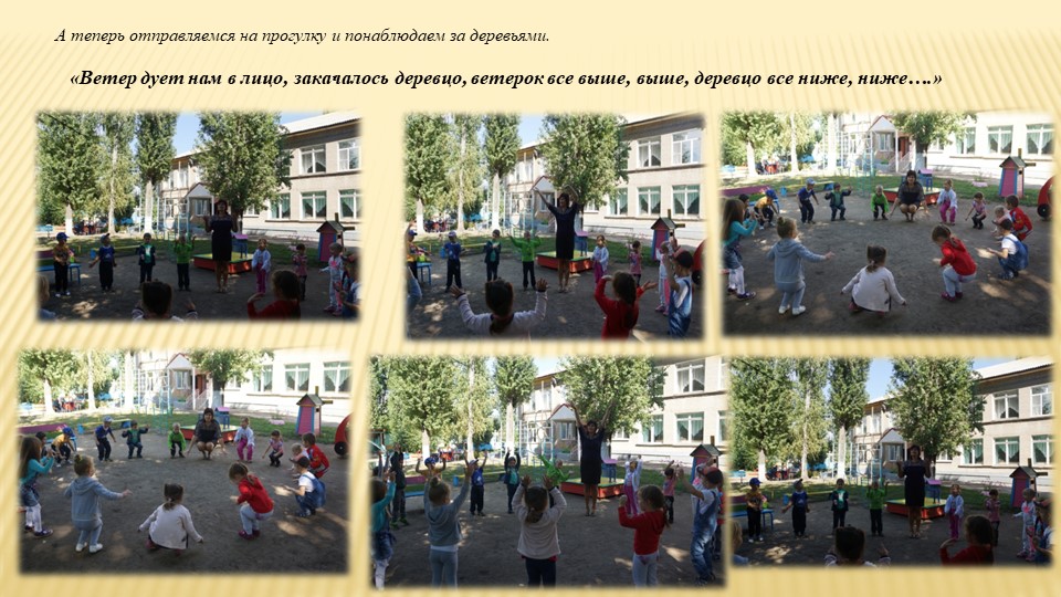Какие деревья растут у нас на участке?