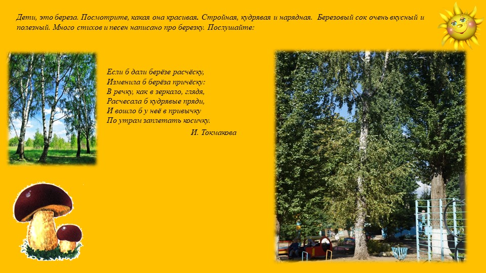 Какие деревья растут у нас на участке?