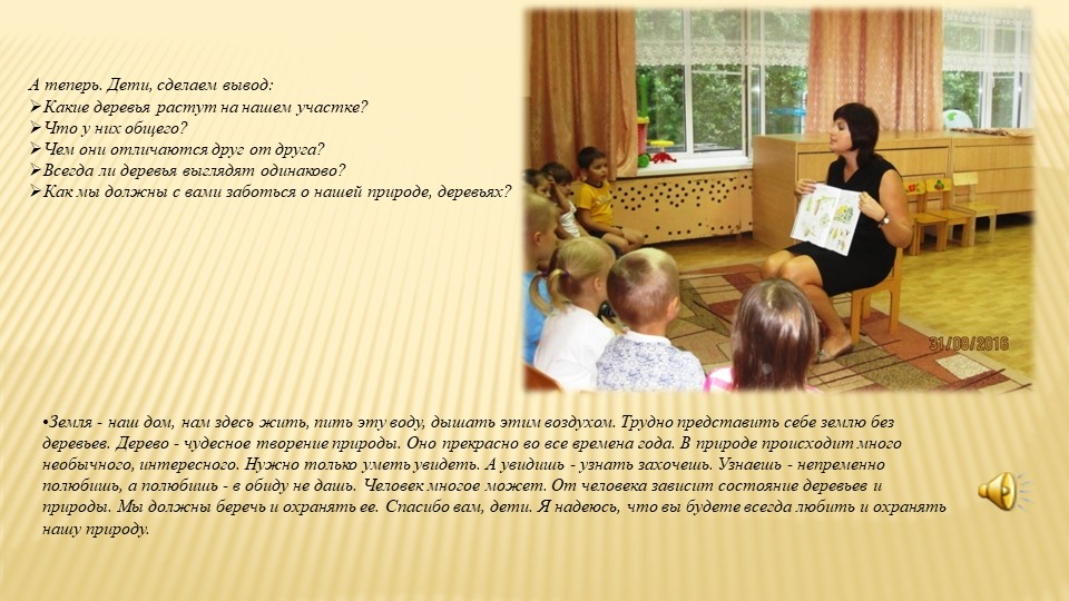 Какие деревья растут у нас на участке?