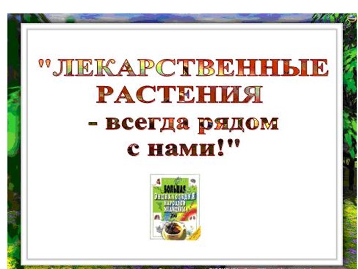 " Лекарственные растения в жизни человека"