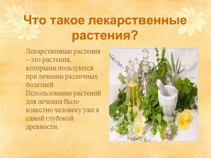 " Лекарственные растения в жизни человека"