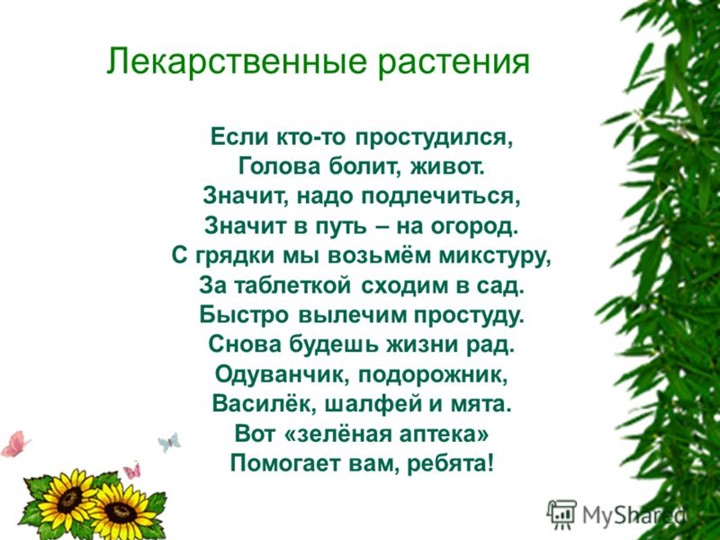 " Лекарственные растения в жизни человека"