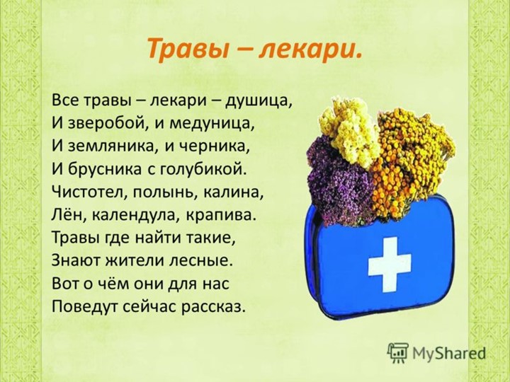 " Лекарственные растения в жизни человека"