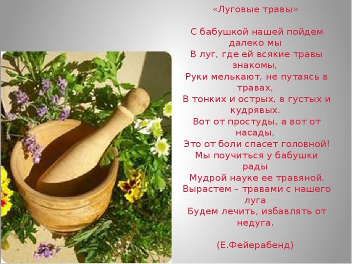 " Лекарственные растения в жизни человека"