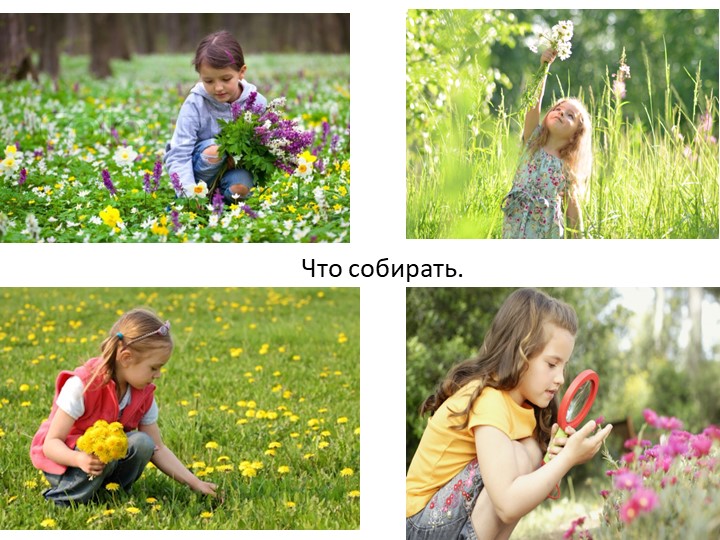 " Лекарственные растения в жизни человека"