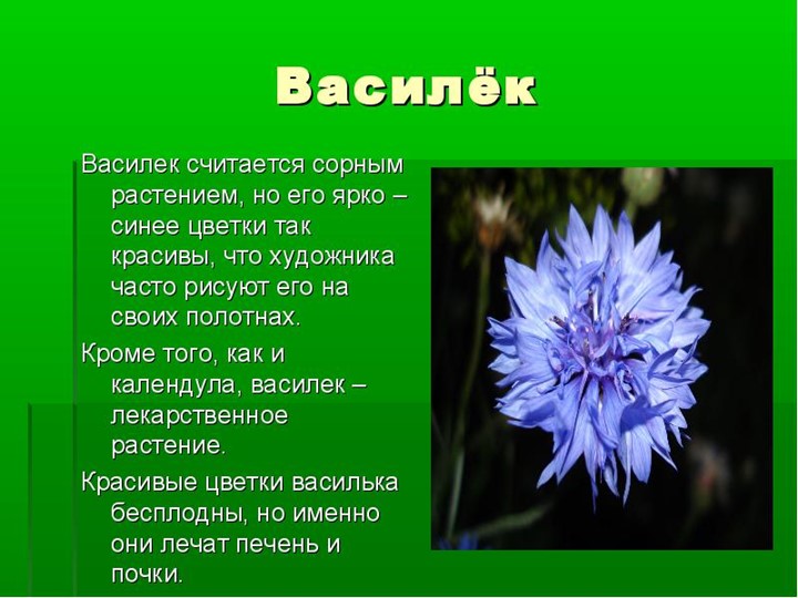 " Лекарственные растения в жизни человека"