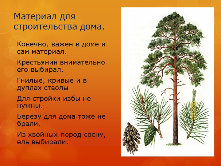 Презентация "Изба сибиряка" детский проект