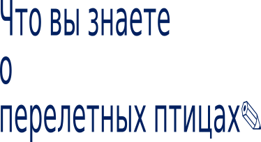 Shape13