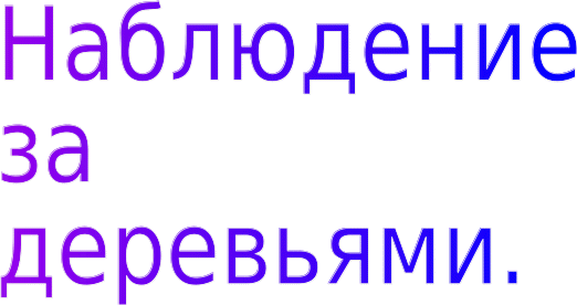 Shape33
