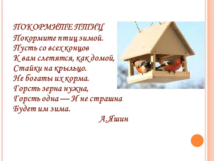 Презентация на тему "Зимующие птицы"