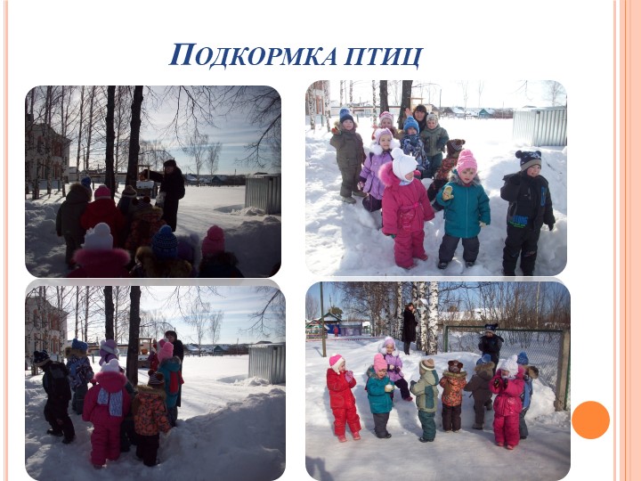 Презентация на тему "Зимующие птицы"